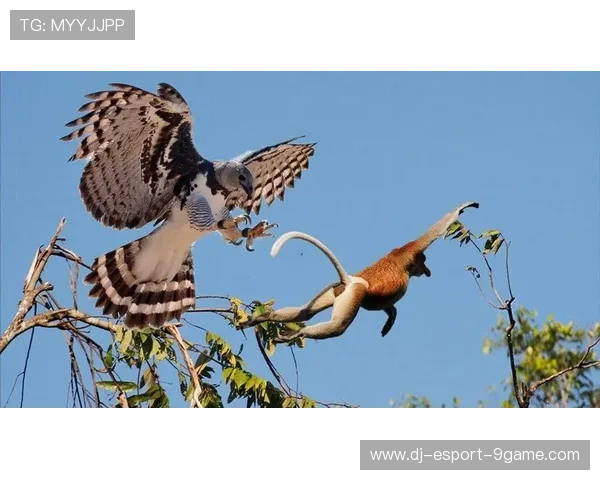 _老鹰快速反击，比赛精彩纷呈_，老鹰抢7